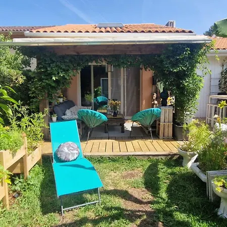 Patio D'artiste